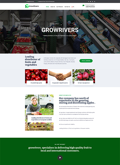 تصميم موقع شركة growrivers للاستيراد والتصدير (بمصر)