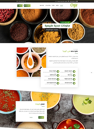 تصميم موقع شركة أورجا
